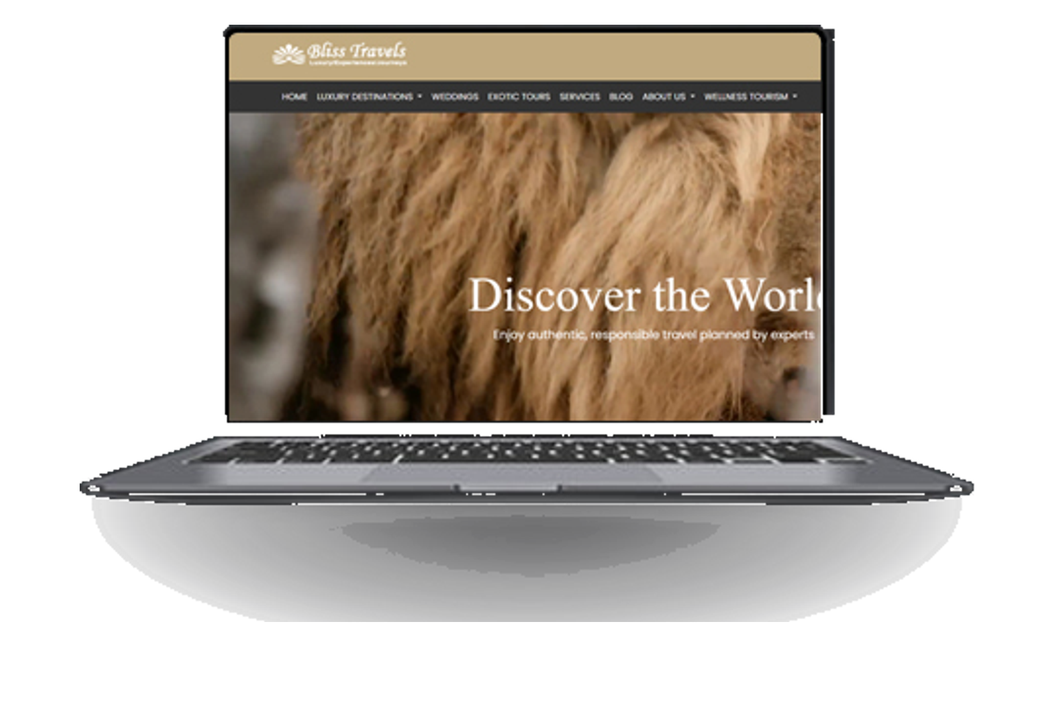 Bliss Travels luxury travel website